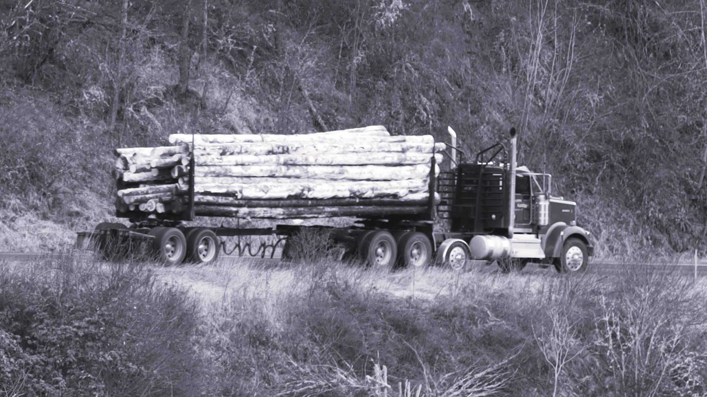 Post Falls Idaho Work Injury? North Idaho Injury Attorney